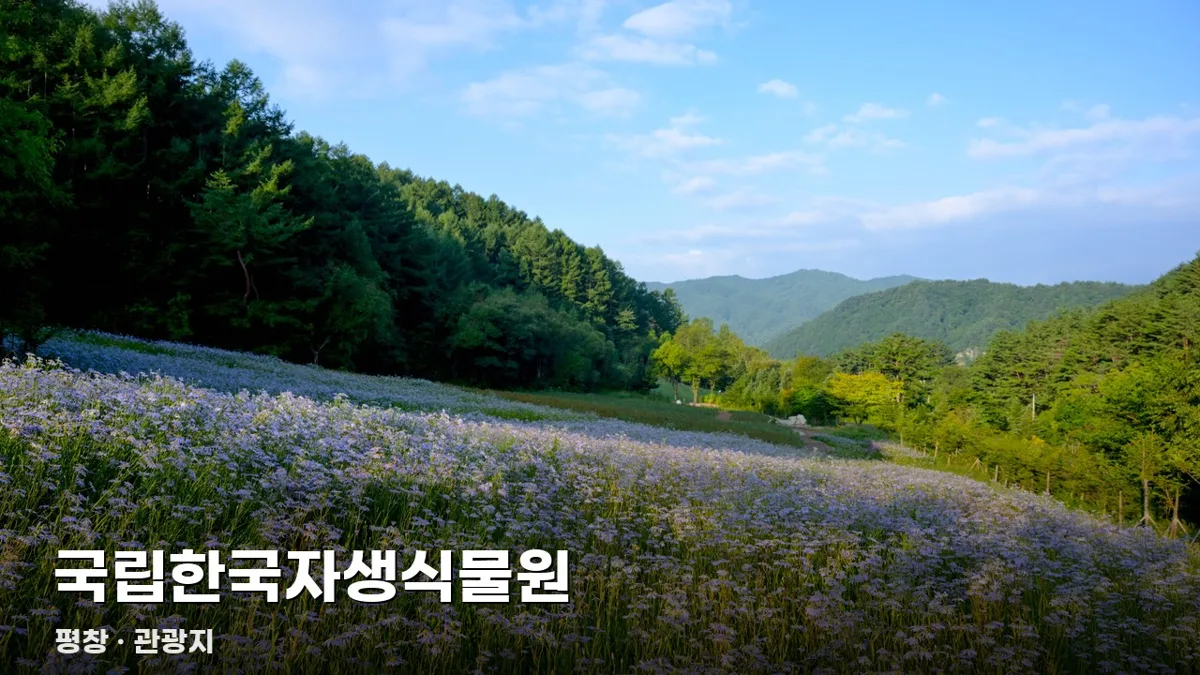 평창
