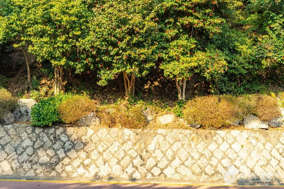 동백공원