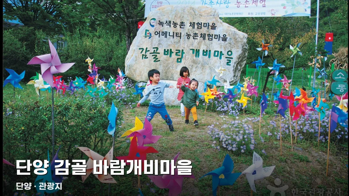 단양