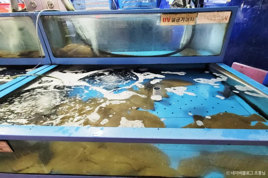 군산활어회센타